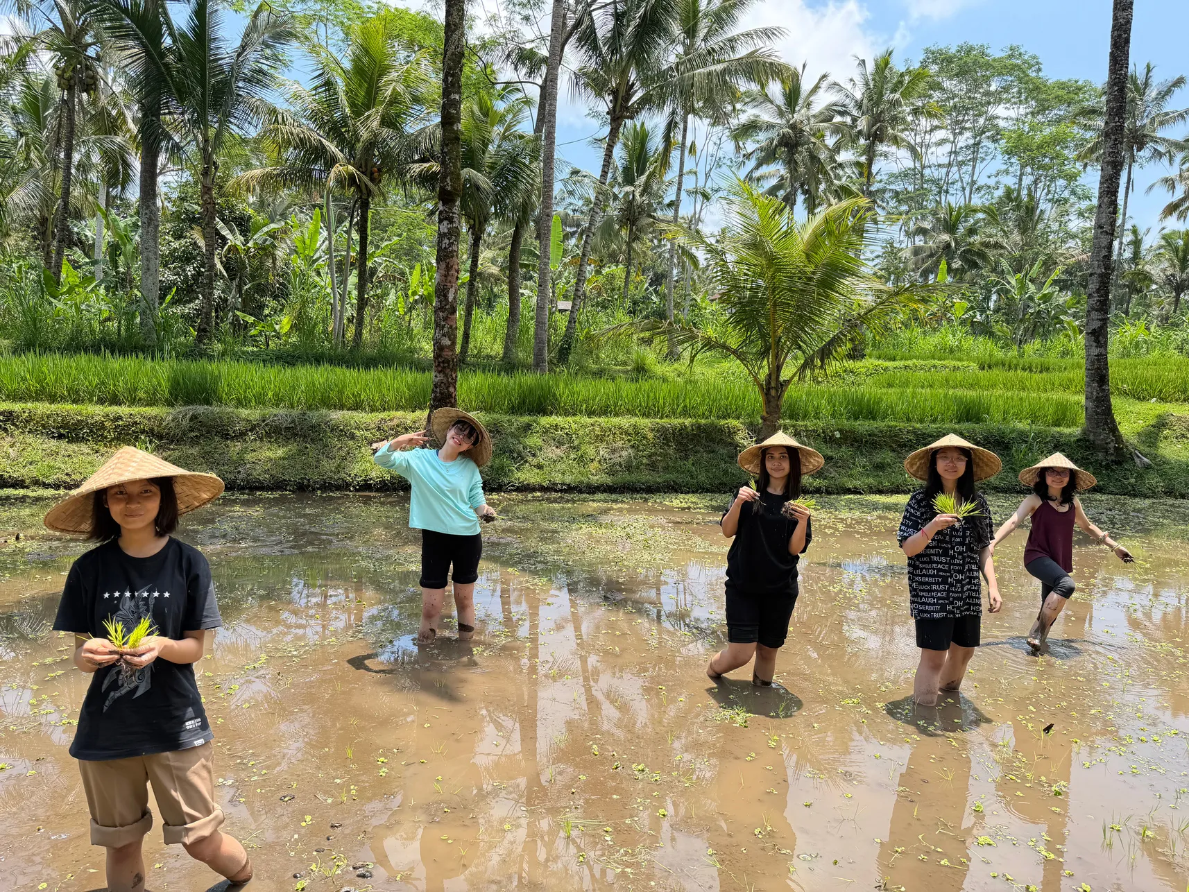 CAS activity photo 2